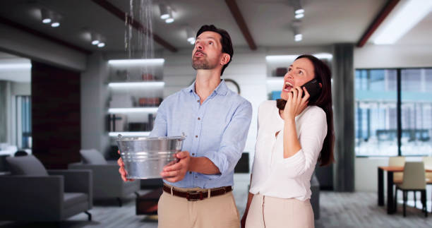 Best Flood restoration services  in Nicholasville, KY